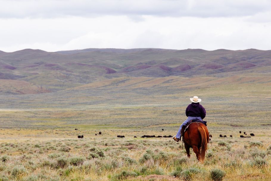 A cowboy rides a horse in Montana
