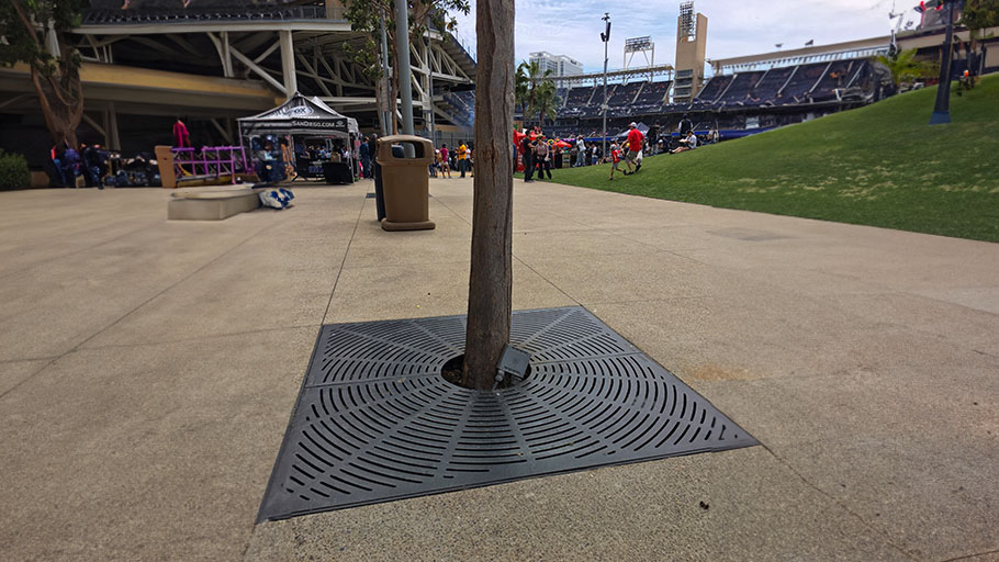 A tree grate installed on a walkway at a stadium