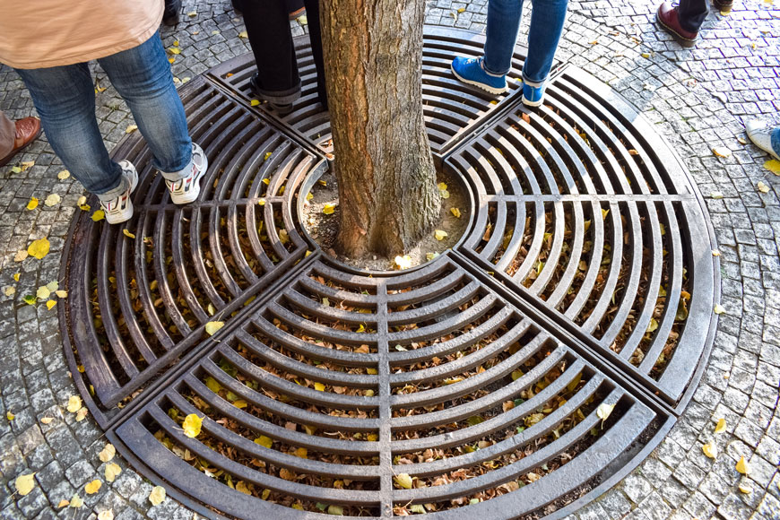 Cast iron tree grate with people standing on it