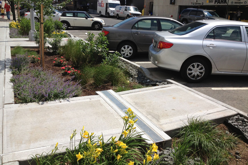 A bioswale rain-garden captures water rather than letting it run into a sewer grate to be lost