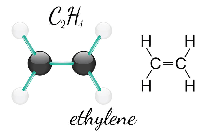 Ethylene Molecule 3D Model and Bond Structure