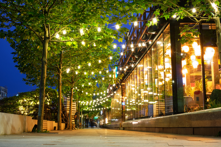 Árboles urbanos con luces decorativas por la noche