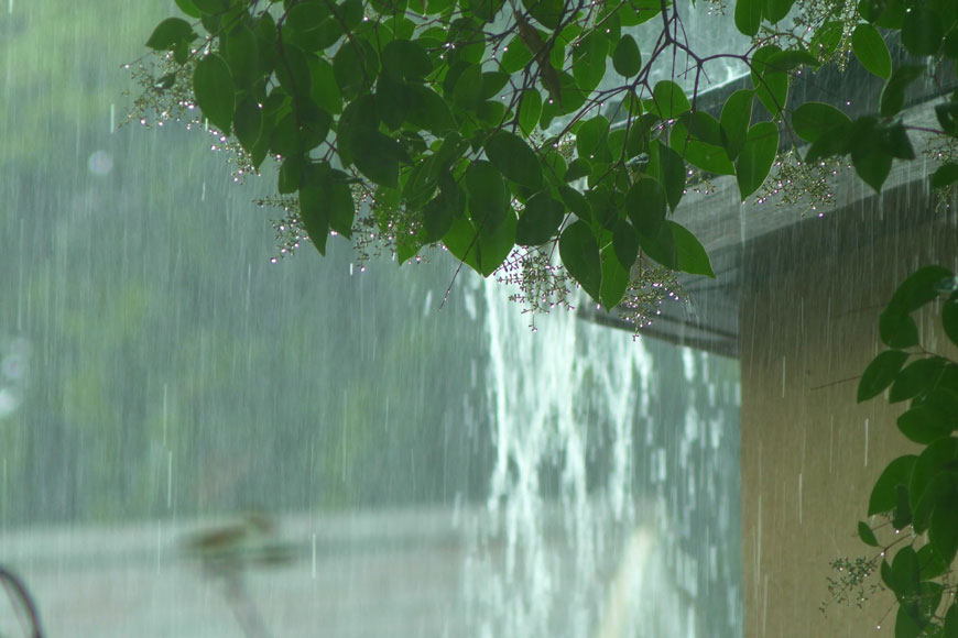 A heavy rain sees water cascading from eaves and tree branches