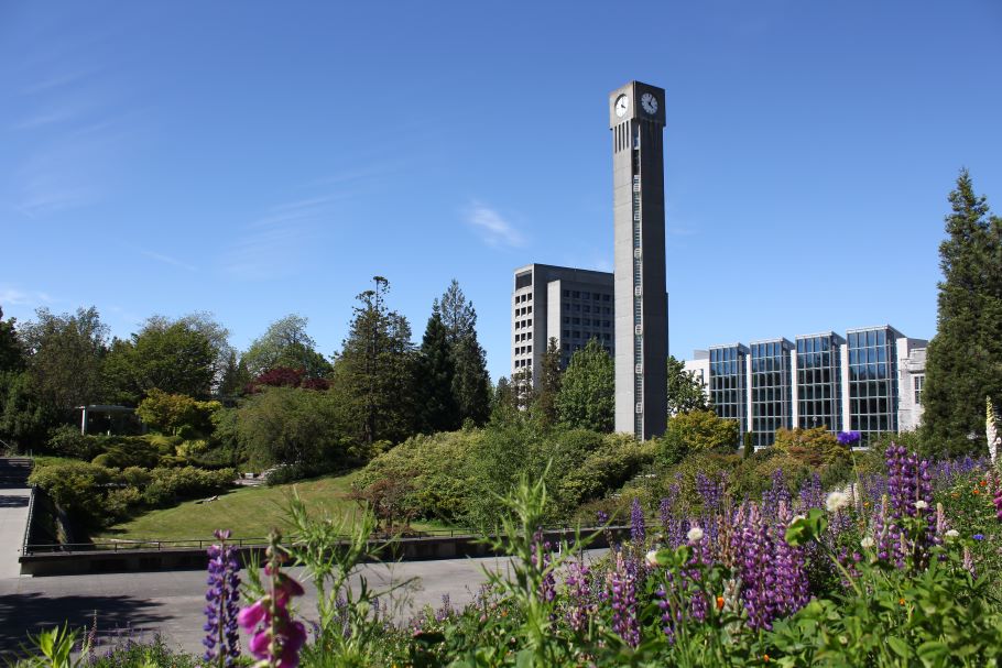 A tall Brutalist clock tower and several newer buildings behind sculpted plantings at UBC campus.