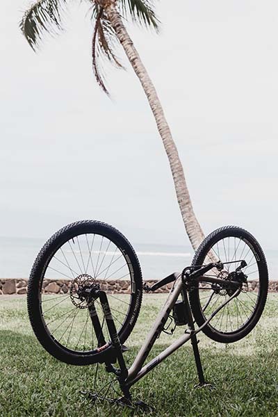 A bicycle rests under a palm tree in Maui