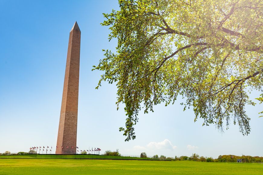 In the background, surrounded by the low stone ha-ha, the Washington Monument stretches into a blue sky, while the branch of a tree drapes through the foreground.